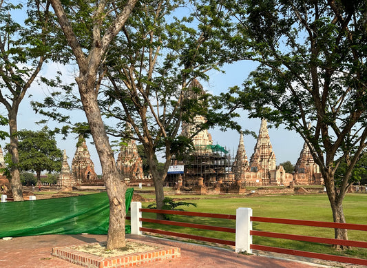 A Bittersweet Day | Moonrock Goes to Thailand Day #3