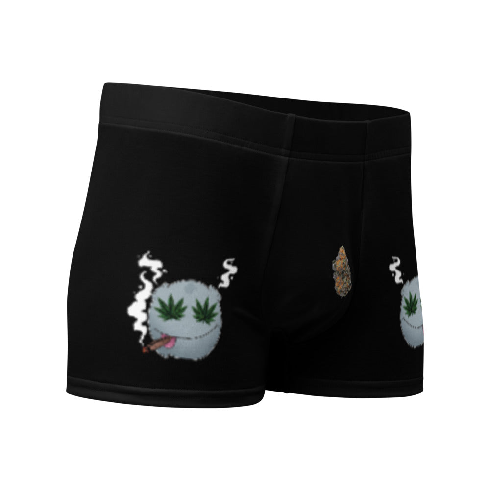Left Bud Only Boxer Briefs