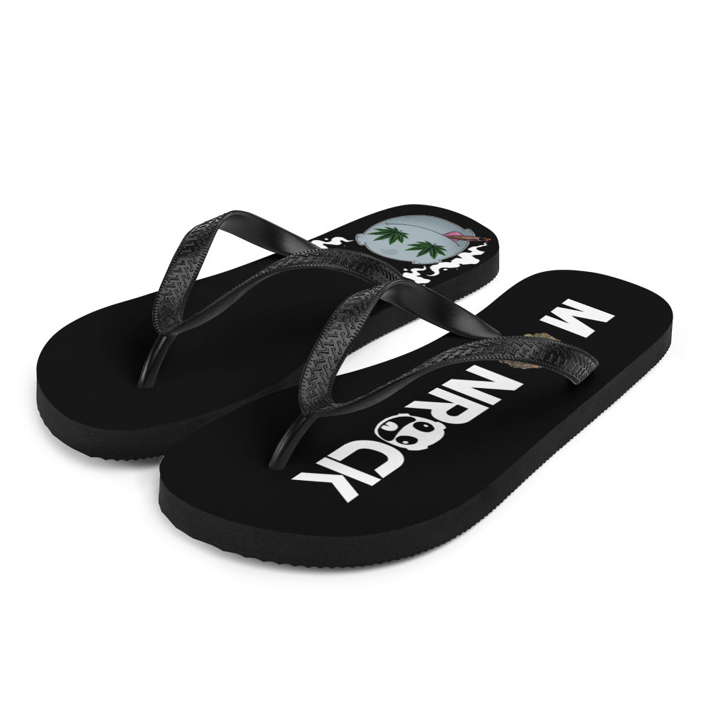 4.20 Flip-Flops
