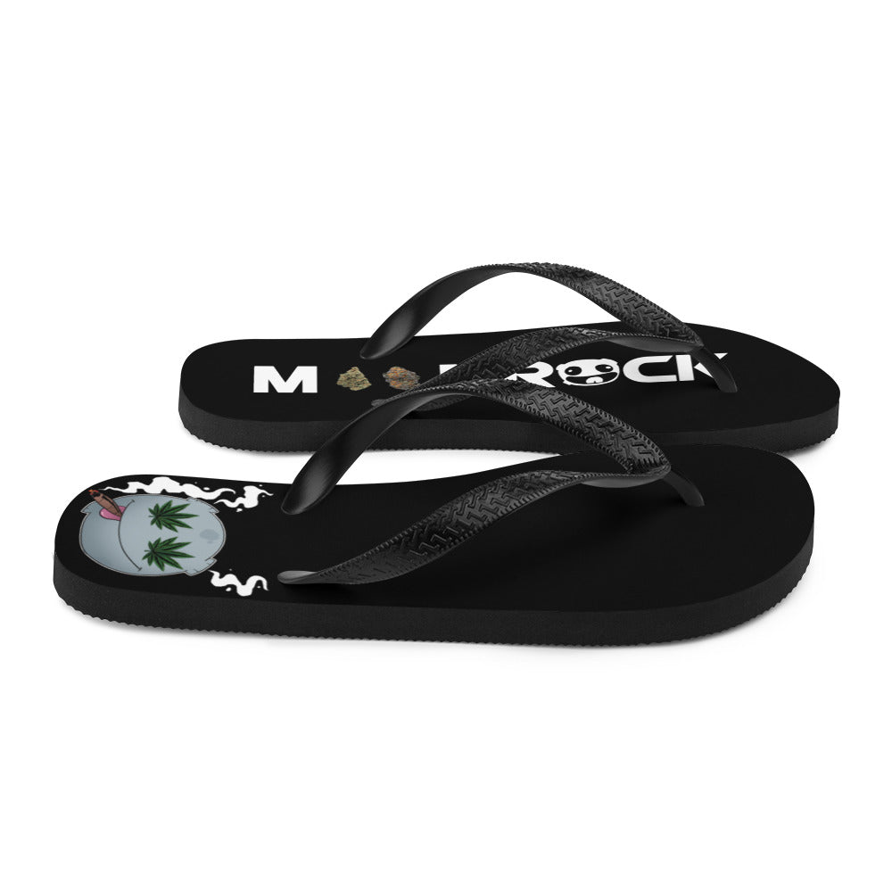 4.20 Flip-Flops