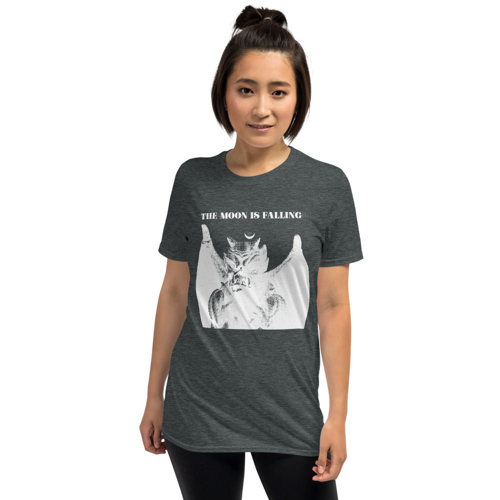 Falling Unisex Softstyle T-Shirt