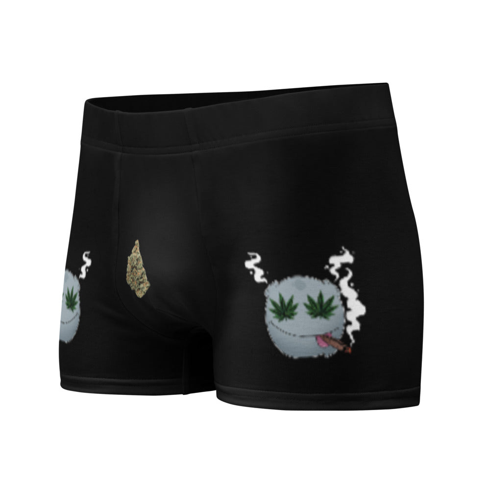 Right Bud Only Boxer Briefs